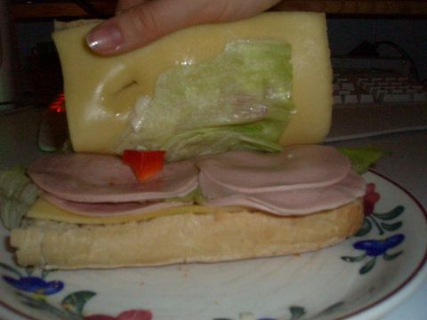 januar2006_sandwich2.JPG